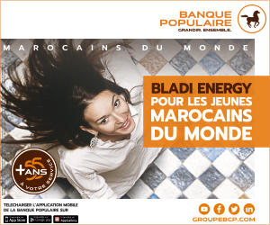 300×250 bladi-energy