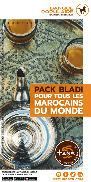 pack-bladi 300×600