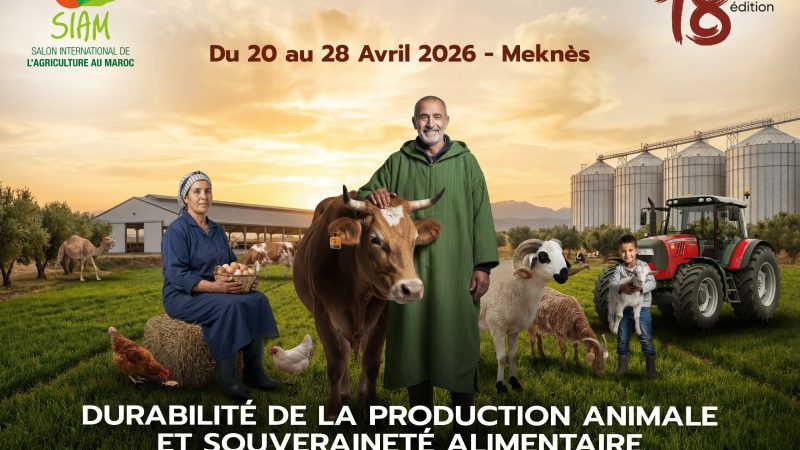 La 18e édition du Salon International de l&rsquo;Agriculture au Maroc adopte un format élargi avec une programmation sur 9 jours