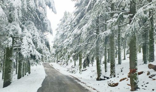 Chutes de neige, averses orageuses, fortes rafales de vent et temps froid, de lundi à jeudi, dans plusieurs provinces du Royaume (bulletin d’alerte)