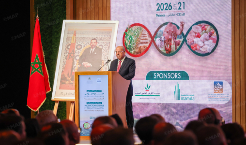 Campagne agricole 2025-2026 : la récolte céréalière prévue à près de 90 Mqx (El Bouari)