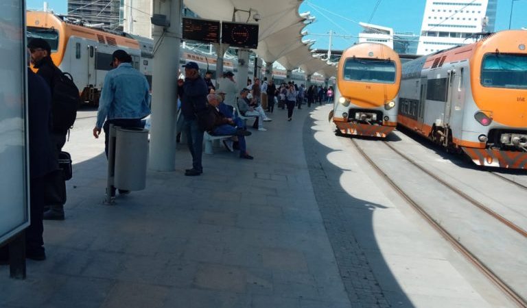 Plan Spécial Été 2026 : une offre de transport renforcée et des avantages tarifaires pour accompagner les déplacements de tous les voyageurs