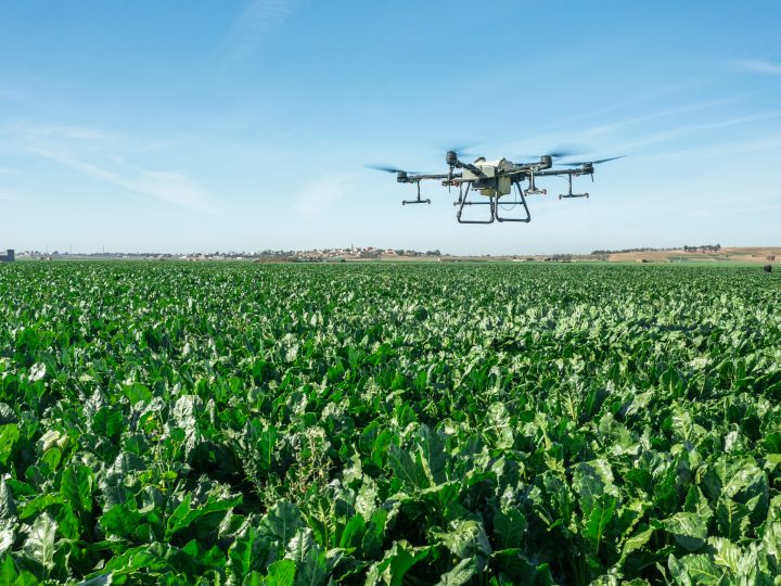 Amélioration de la productivité de la filière sucrière et soutien aux producteurs  au cœur des priorités de la Fédération