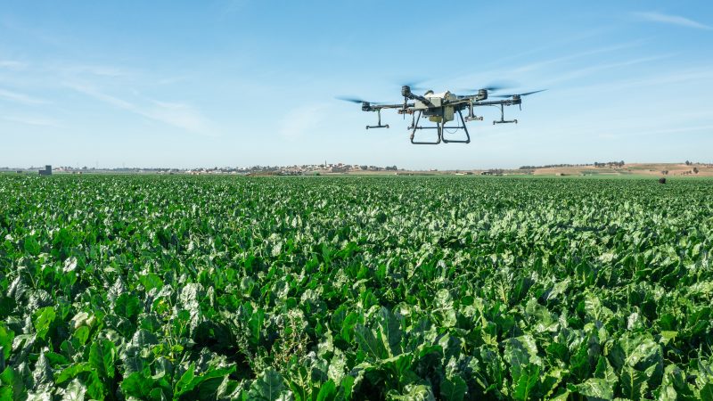 Amélioration de la productivité de la filière sucrière et soutien aux producteurs  au cœur des priorités de la Fédération