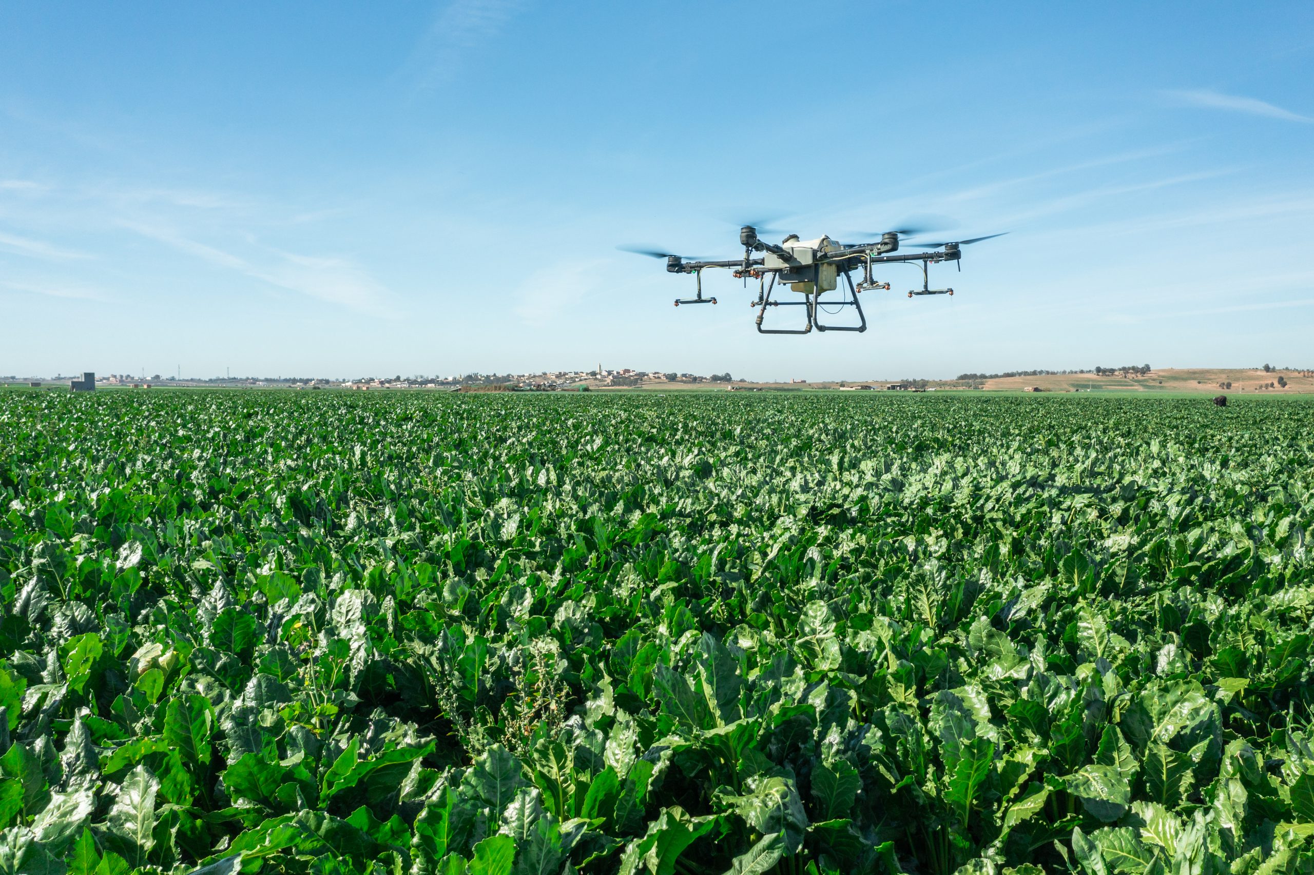 Amélioration de la productivité de la filière sucrière et soutien aux producteurs  au cœur des priorités de la Fédération