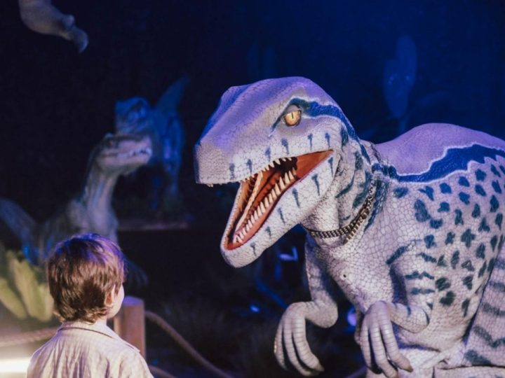 Dinos Alive transforme la rentrée en voyage au cœur de la Préhistoire
