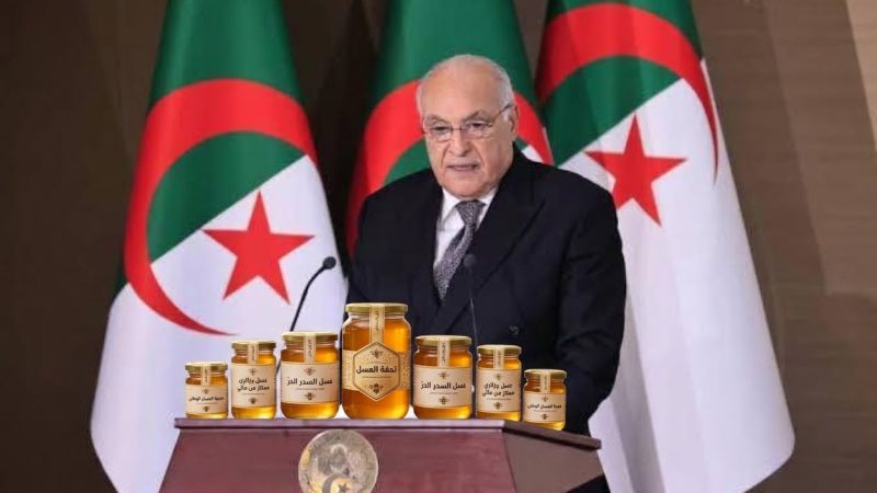 « Diplomatie du miel » : Une bourde protocolaire du ministre algérien des Affaires étrangères suscite de vives moqueries et une polémique numérique sans précédent